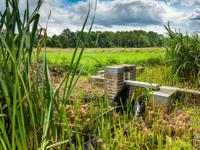 Stuw bij vloeivelden, De Plateaux, fotograaf: Bob Luijks