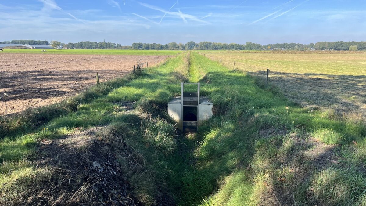 Stuwtje bij de Burg. Vogelslaan in Leende met zicht op de Groote Aa - afbeelding vergroten